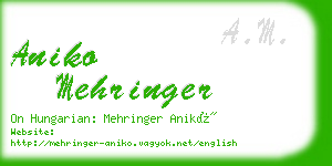 aniko mehringer business card